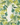 Outdoor outdoor botanical longwood rug - Green / 10’ x 12’ 2