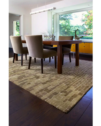 Transitional hermitage rug - Area Rugs